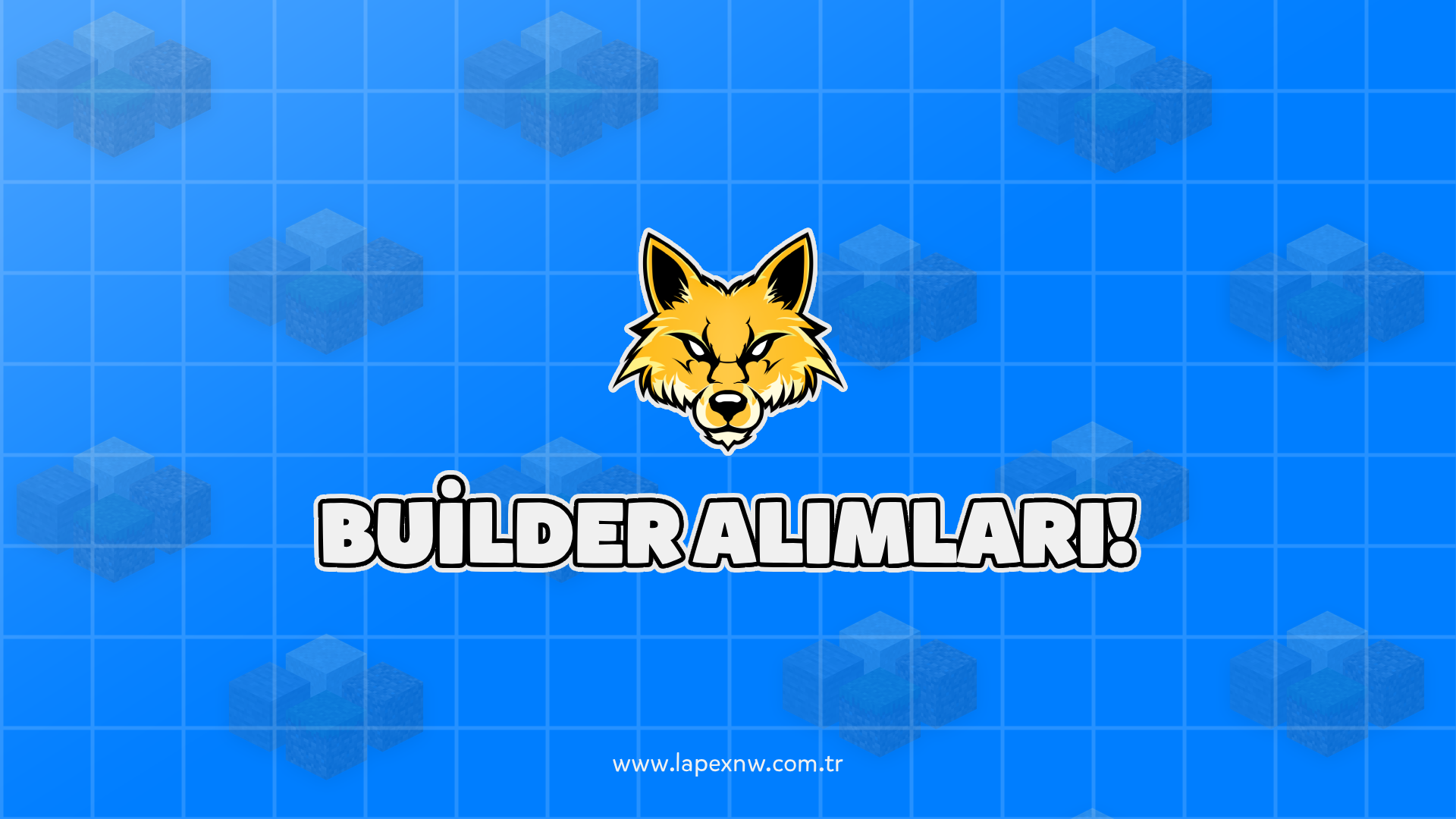 BUILDER ALIMLARI!